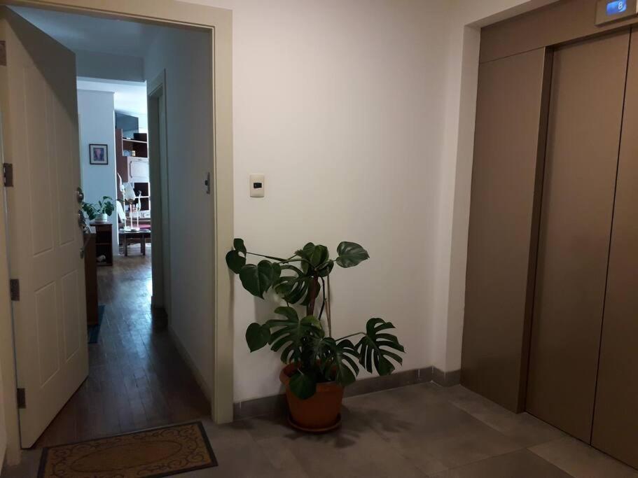 Departamento En La Paz Mundo Luna Ngoại thất bức ảnh
